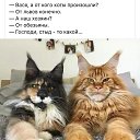 ���� ���������, �����-��������� - ��������� 28 �������� 2020 � ������ ������ ��������