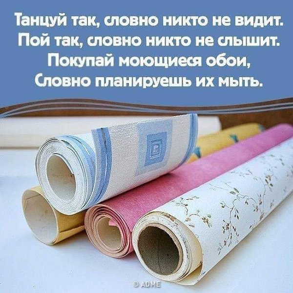       ))