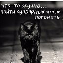 ���� ����, ������������, 55 ��� - ��������� 13 ������ 2020 � ������ ���� ����������