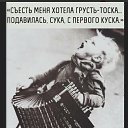 ���� ��������� ��������, ������, 62 ���� - ��������� 18 ����� 2021 � ������ ���� ����������