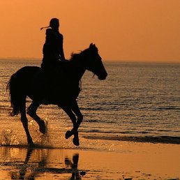 ������ ���������, ������ ��������, 55 ���