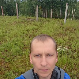 ������, �����, 39 ���