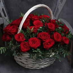 ������, �������, 54 ����