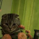 ���� �����, �������, 48 ��� - ��������� 27 ������� 2020 � ������ ���� ����������