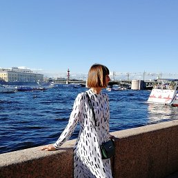 �������, �����-���������, 41 ���