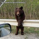 ���� �micier, �����, 49 ��� - ��������� 1 ������ 2021 � ������ ������ ��������