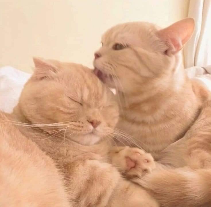     ,      .   .   ... - 2