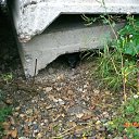 ���� ������, ��������, 62 ���� - ��������� 3 ������ 2020 � ������ ���� ����������