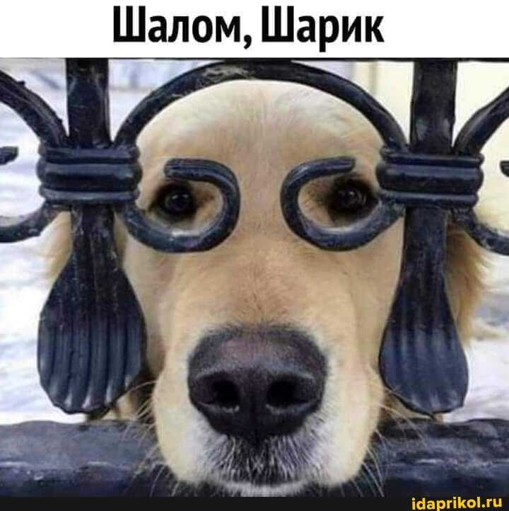  - 13  2021  08:48