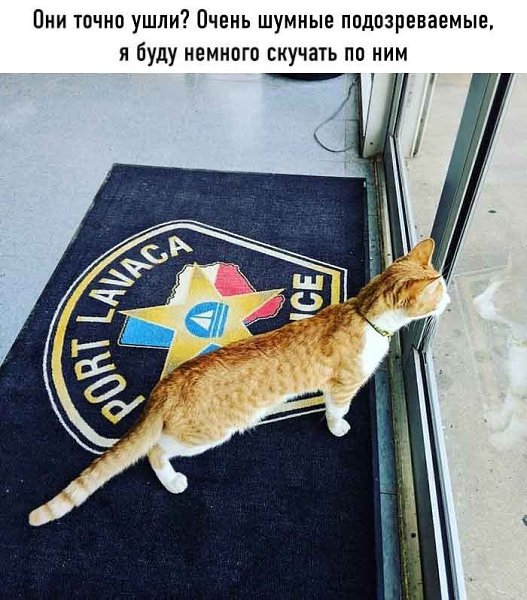 Он вошёл в участок, будто всегда был тут начальником, естественно все стали звать его Капитан - 10