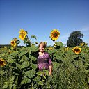 ���� �������, �����, 62 ���� - ��������� 11 ������� 2020 � ������ ���� ����������