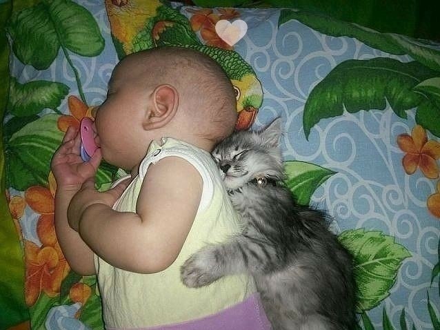 a https://fotostrana.ru/away?to=/sl/m314eopeee pe!