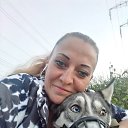 ���� �����, �����-���������, 45 ��� - ��������� 16 �������� 2020