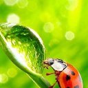 ���� �����, ������������, 68 ��� - ��������� 22 ������ 2020 � ������ ���� ����������