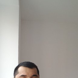 ������, �����-���������, 41 ���