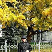 �������, 61 ���, ����