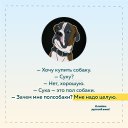 ���� �����, �����-���������, 72 ���� - ��������� 14 ������ 2021 � ������ ������ ��������