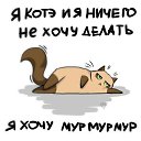 ���� ���������, ��������, 51 ��� - ��������� 25 ������ 2021 � ������ ���� ����������