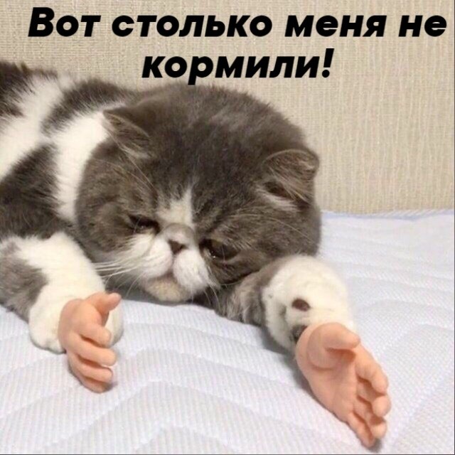       - 20  2021  10:38