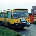  , , 49  -  29  2021   Avtobus LIAZ SSSR