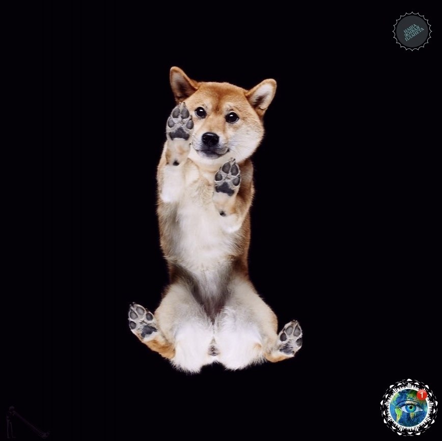 oopa pc pa c a   o,  o o  ca  oopoo. - 10