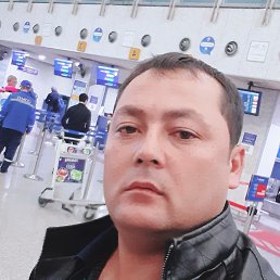 ���, �����-���������, 38 ���