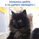 ���� "�������", ����, 45 ��� - ��������� 11 ������ 2021 � ������ ���� ����������
