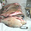 ���� �����, �������, 51 ��� - ��������� 7 ������� 2020