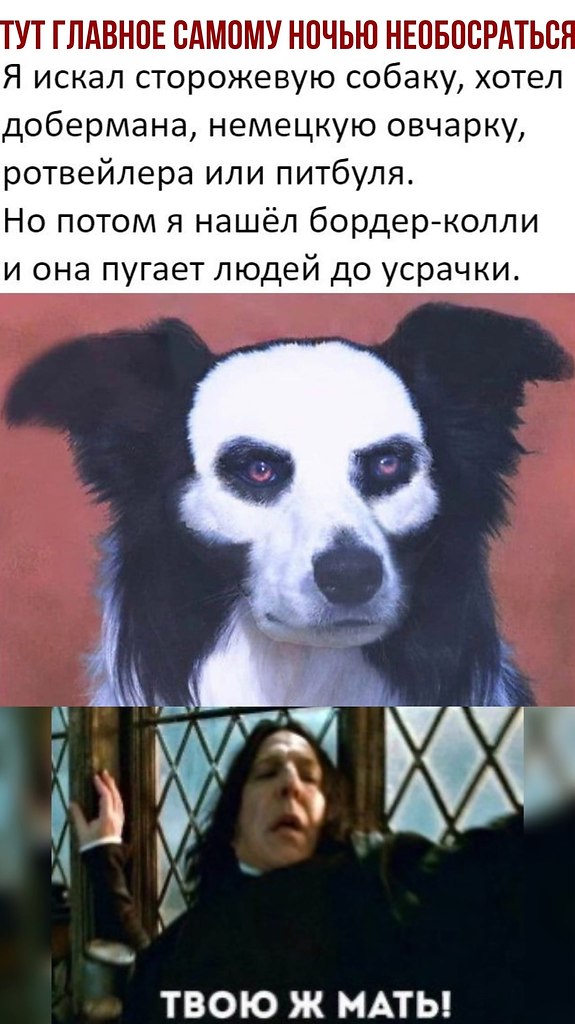  - 28  2020  18:41