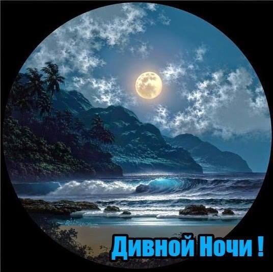  ,    . - 25  2020  20:52