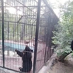 ���� �����, ������, 44 ���� - ��������� 16 ������� 2020