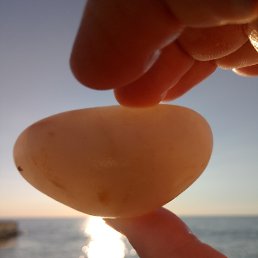 Dan, ������, 86 ���