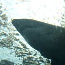 ���� �����, ������, 62 ���� - ��������� 24 ������ 2020 � ������ ���� ����������