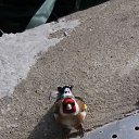 ���� ������, ������, 64 ���� - ��������� 1 ������� 2021 � ������ ���� ����������