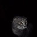 ���� ������, ������� - ��������� 11 ������� 2021