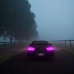 ������, �����-���������, 28 ���