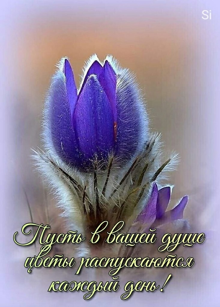   ,    . - 5  2021  20:19