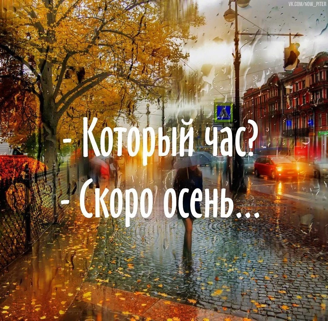   ,    . - 29  2020  10:56