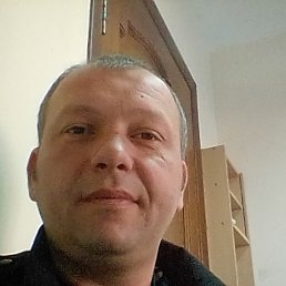 �����, �������, 43 ����