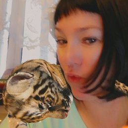 Catarina, ������