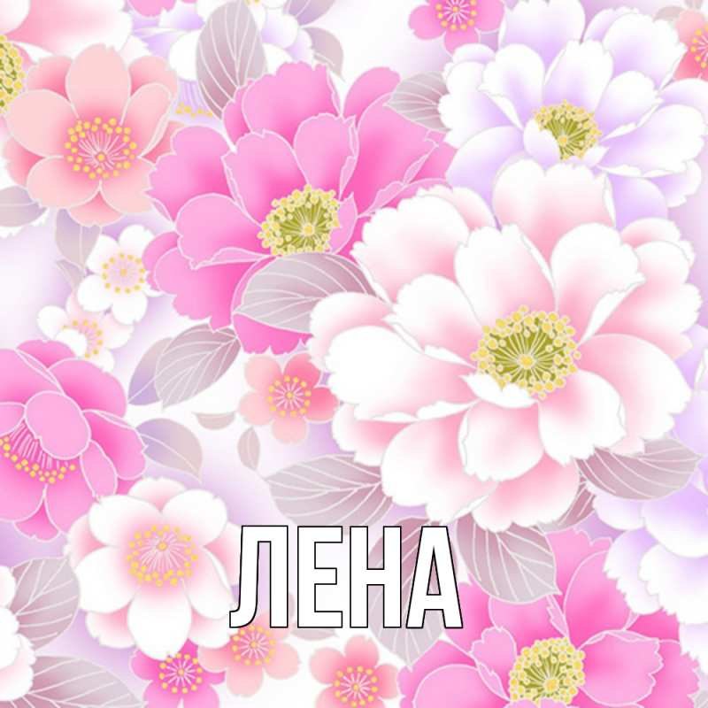   ,    . - 27  2021  19:17 - 4