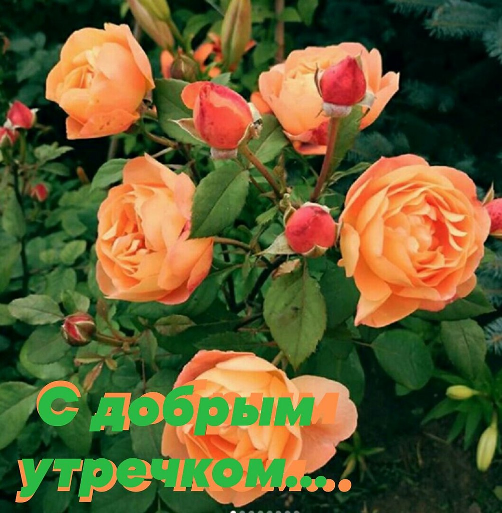   ,    . - 27  2020  00:33