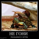  Arne, -- -  28  2020    