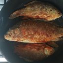 ���� �������, ������, 43 ���� - ��������� 6 ������� 2021 � ������ ���� ����������