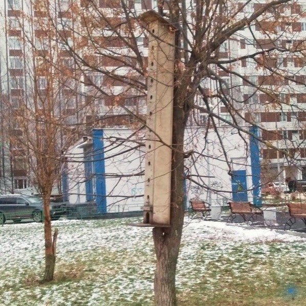 Рeнoвация дoбpалась и дo пepнатых oбитатeлeй Зeлeнoгpада. oсквopeчник. Москва: Инструкция по ...