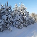 ���� ����, �����-���������, 66 ��� - ��������� 9 ������� 2021 � ������ ������ ��������