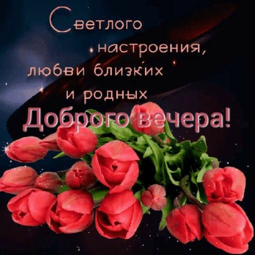   ,    . - 9  2021  12:52 - 4