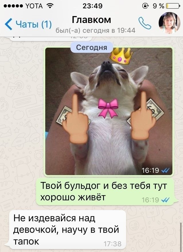     ,      : - 3