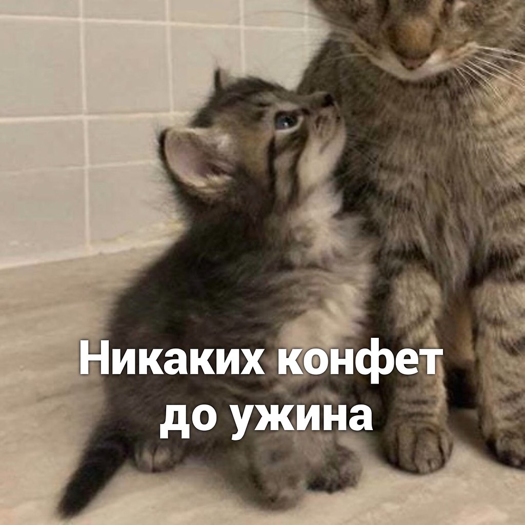    - 3