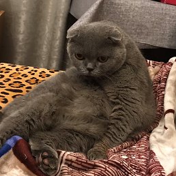 ���� ����, ����� - ��������� 5 ������ 2021